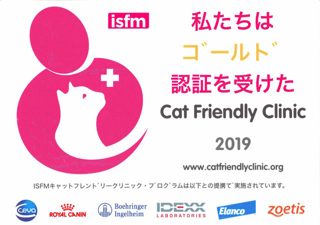 Cat Friendly Clinic 1