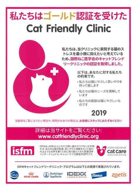 Cat Friendly Clinic 2