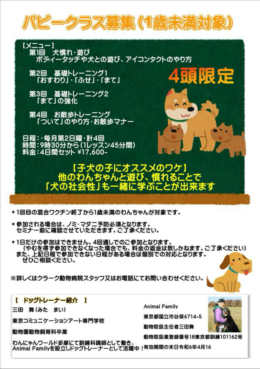 ドッグトレーナーによる個別しつけ相談