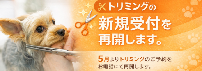 トリミング新規受付再開